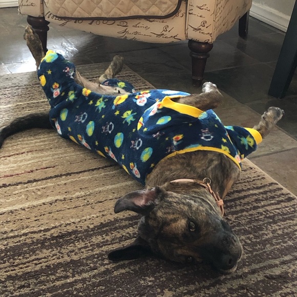 Meet Your Seller! 💀 - Picture 6 of 8